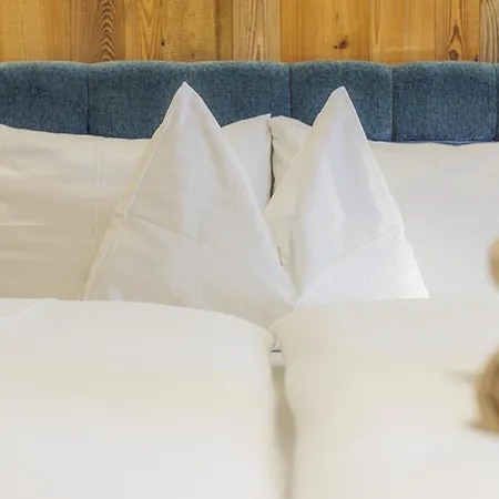 Alpesi faház Ahorn *